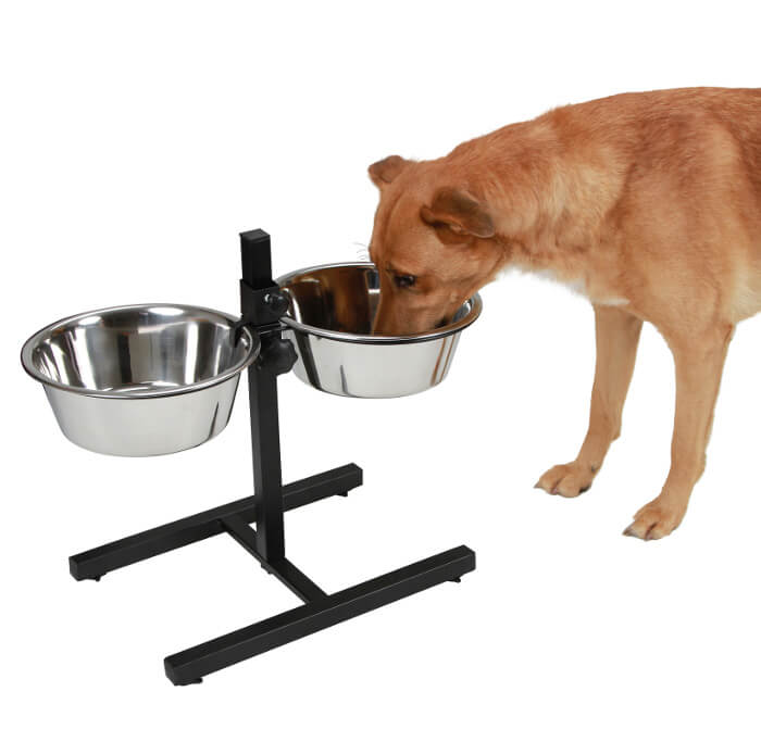egységes bowl emelt kutya etető keres egy nőt egy dieulefit
